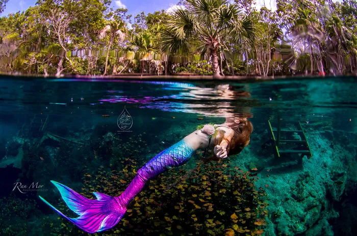 I Took Photos Of A Real Mermaid In An Enchanted Underwater Forest