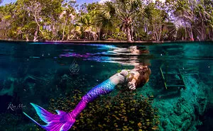 I Took Photos Of A Real Mermaid In An Enchanted Underwater Forest