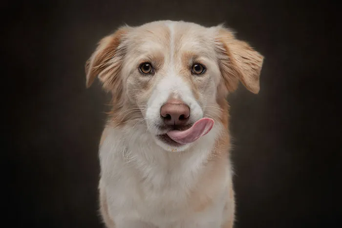 Penny