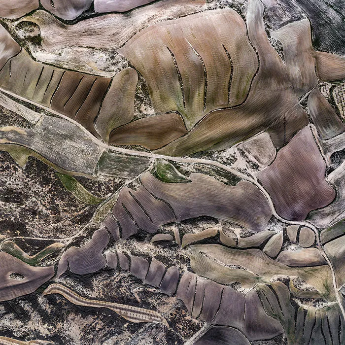 Curvas Del Caracol