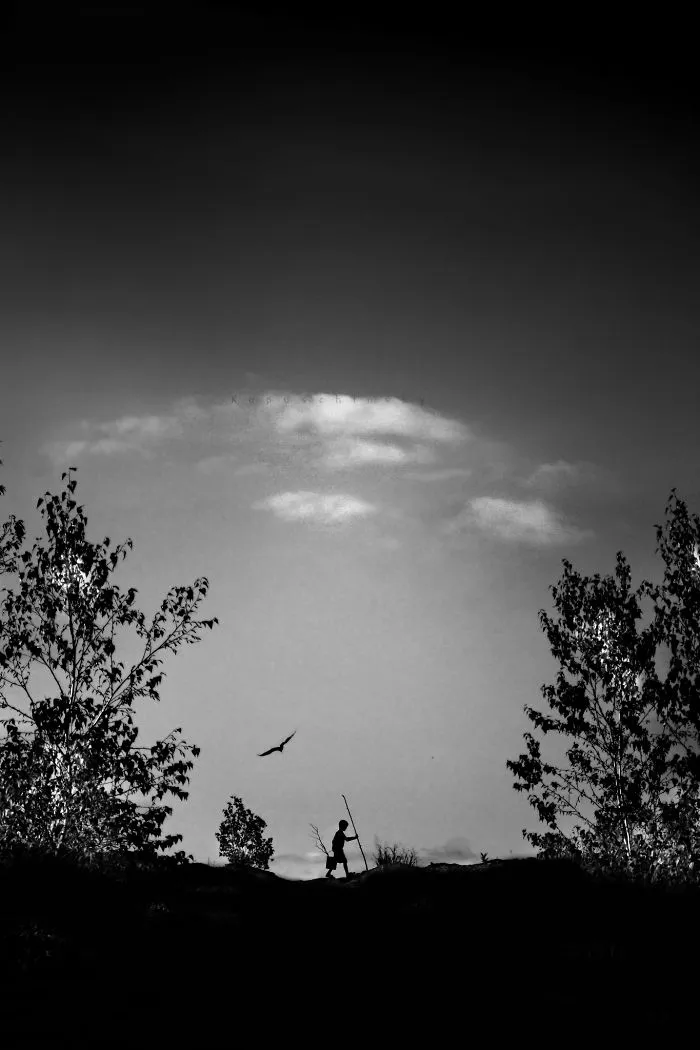 I Spent 4 Years Documenting My Kids Enjoying Their Childhood Without Technology, Here Are 30 Of My Favorite Photos