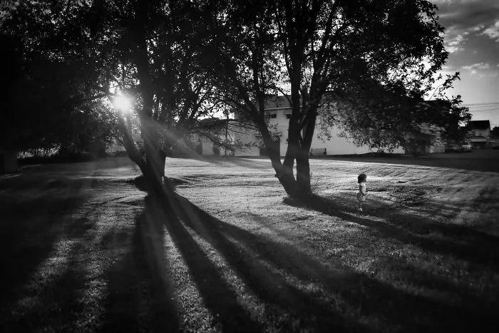 I Spent 4 Years Documenting My Kids Enjoying Their Childhood Without Technology, Here Are 30 Of My Favorite Photos