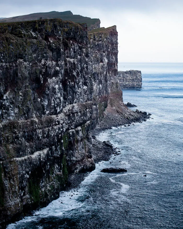 Latrabjarg Is The Westernmost Point In Iceland, And Home To Huge Colony Of Puffins