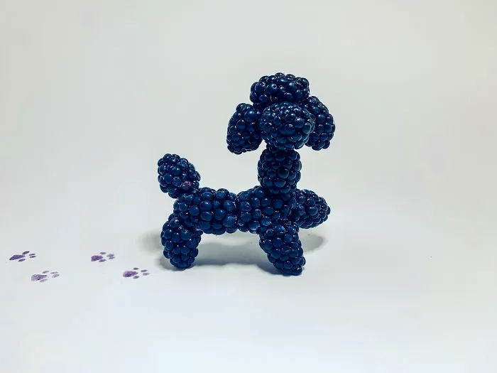 Berry Good Boy!