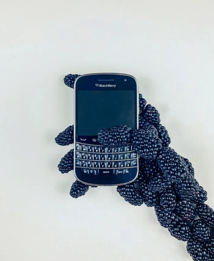 Blackberry