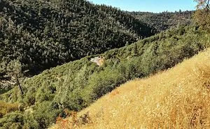 I'm A Canadian Photographer Capturing The Beauty Of California