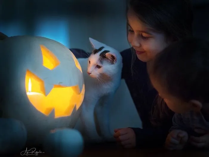 I Spent 3 Years Perfecting My Photography Skills To Capture The Magical World Of Children (85 Pics)