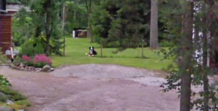 16 People Who Found Their Loved Ones On Google Street View And It Warmed Their Hearts