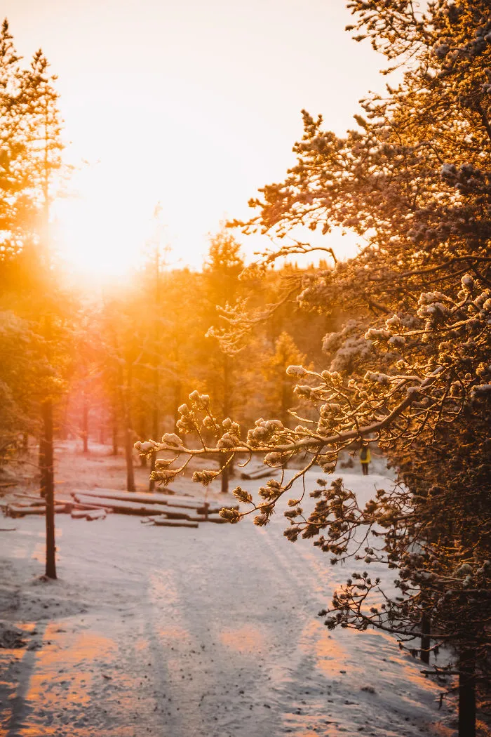 I Stayed In The Kakslauttanen Arctic Resort