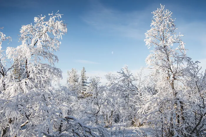 I Stayed In The Kakslauttanen Arctic Resort