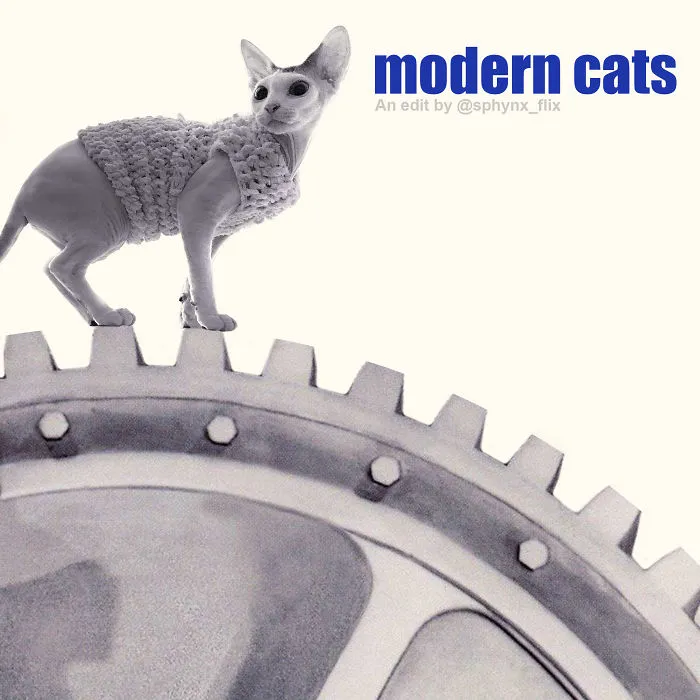 Modern Times