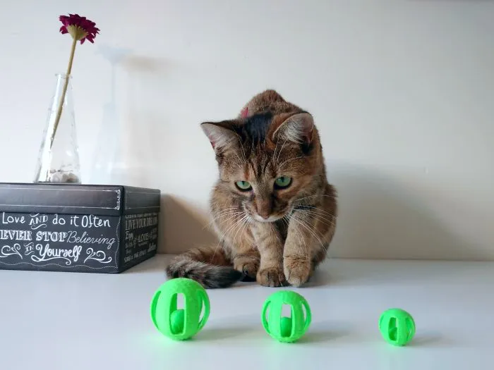 Push And Chase! There’s Another, Smaller Ball Printed Inside That Is Off-Centre, Meaning The Ball Will Never Roll Straight