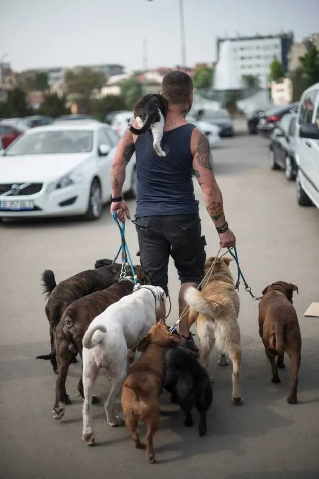Meet The Animal Whisperers, The Couple Whose Family Has 80 Rescued Animals