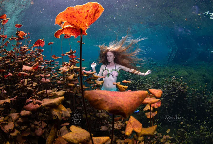 I Took Photos Of A Real Mermaid In An Enchanted Underwater Forest