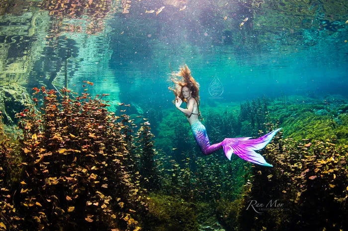 I Took Photos Of A Real Mermaid In An Enchanted Underwater Forest
