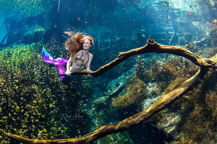 I Took Photos Of A Real Mermaid In An Enchanted Underwater Forest