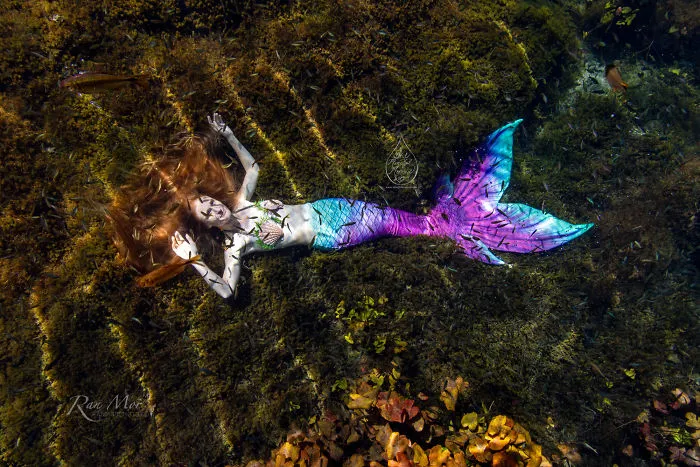 I Took Photos Of A Real Mermaid In An Enchanted Underwater Forest
