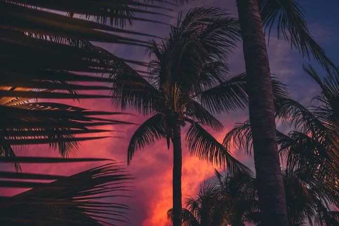 I Traveled Around Southern Mexico For Two Weeks