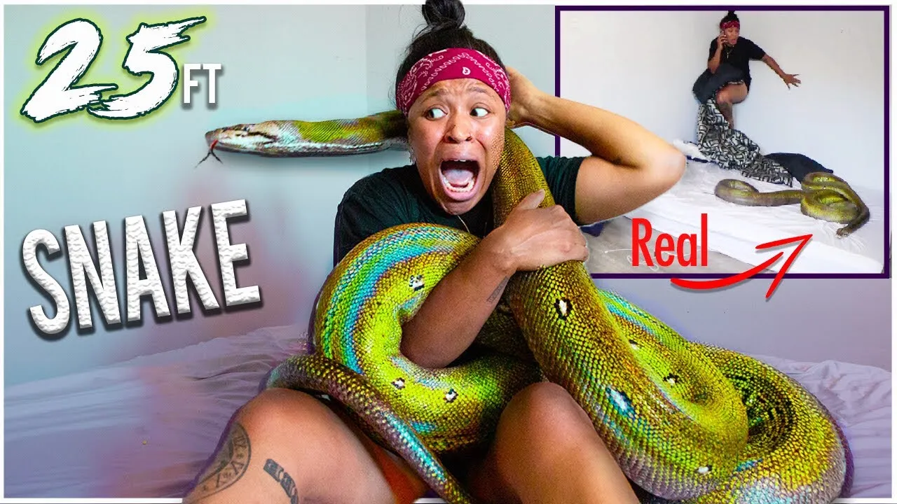 I Put The Second Largest Snake In California In My Best Friend's Bed!!