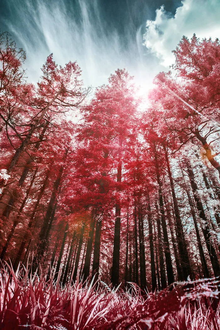 I Captured Norway With My Infrared-Converted Camera (23 Pics)