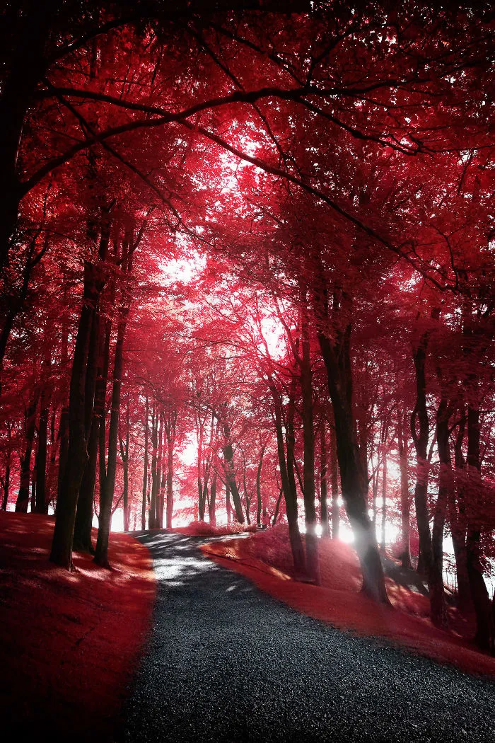 I Captured Norway With My Infrared-Converted Camera (23 Pics)