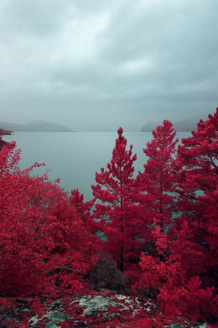 I Captured Norway With My Infrared-Converted Camera (23 Pics)