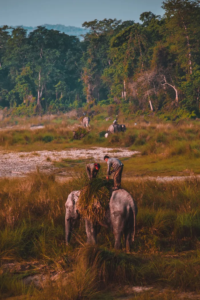 The Many Faces Of Nepal