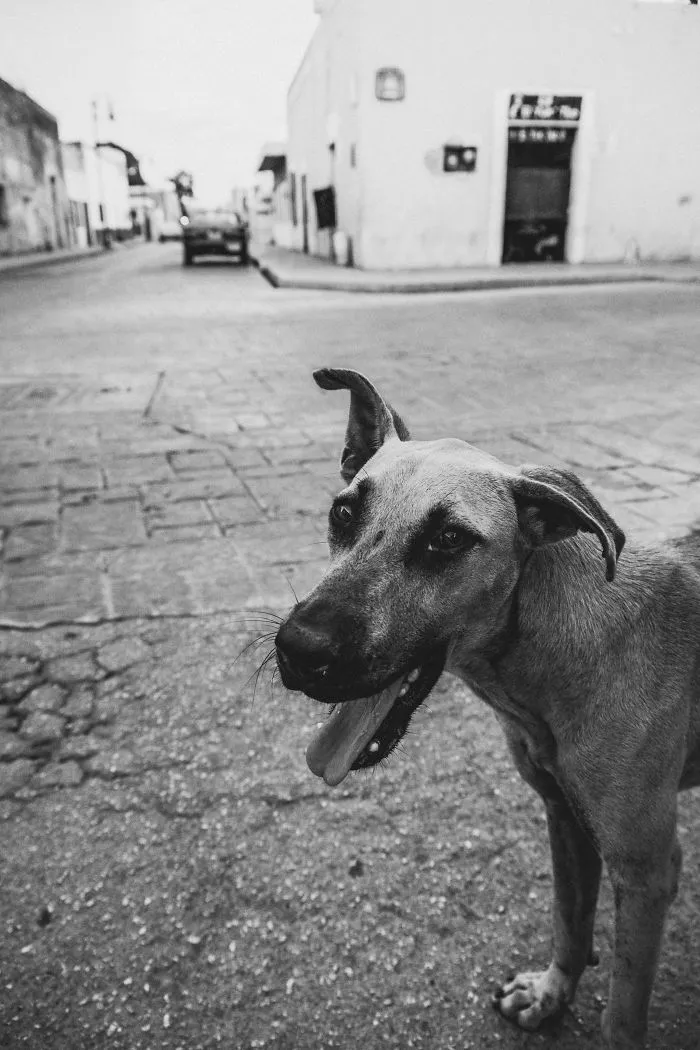 I Traveled Around Southern Mexico For Two Weeks