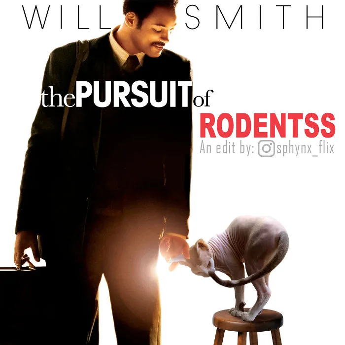 The Pursuit Of Happiness