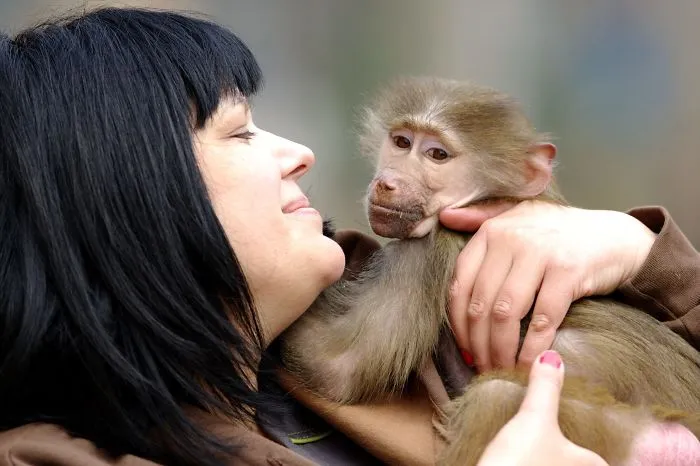 People Show How Animals Should Be Loved