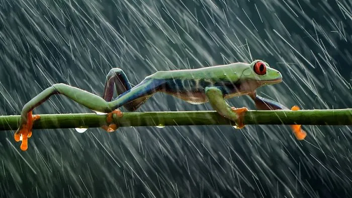 Rainy Day, Hendy Mp, Indonesia