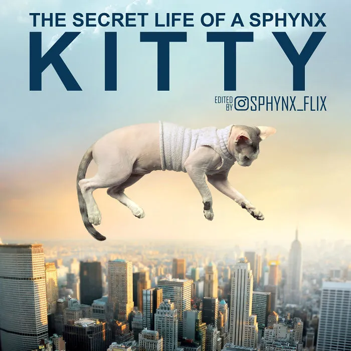 The Secret Life Of Walter Mitty