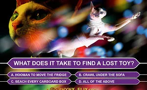 My 66 Movie Poster Parodies Starring Sphynx Cats
