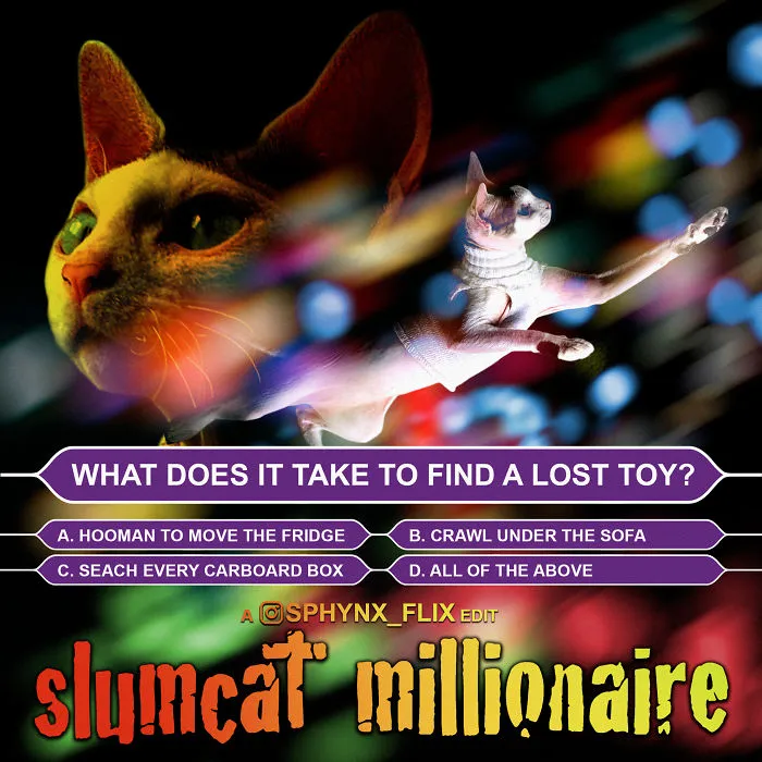 Slumdog Millionaire
