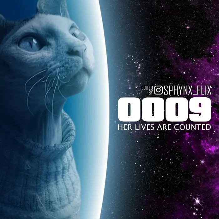 2001 Space Odyssey
