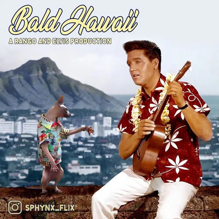 Blue Hawaii