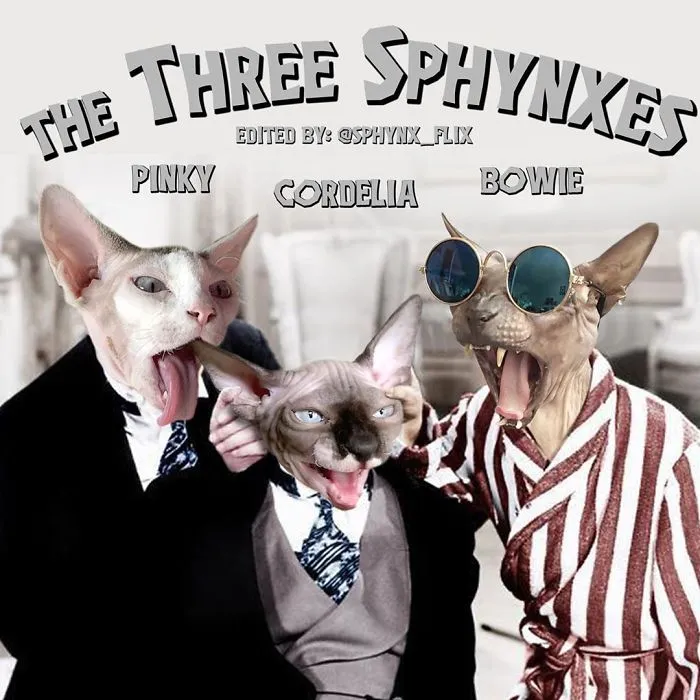 The Three Stooges