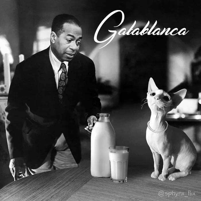 Casablanca