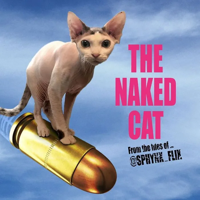 The Naked Gun