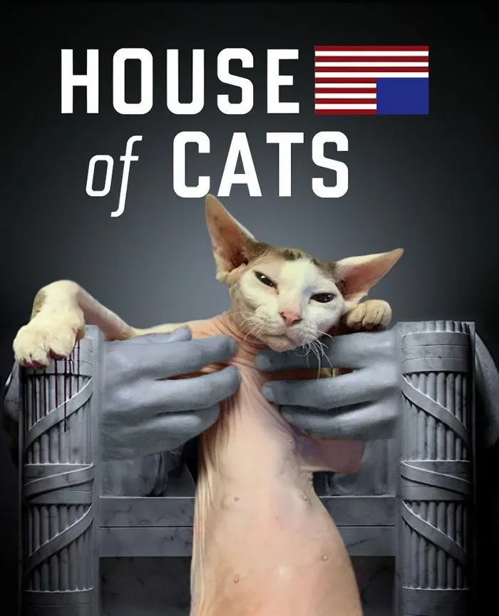 House Of Cards