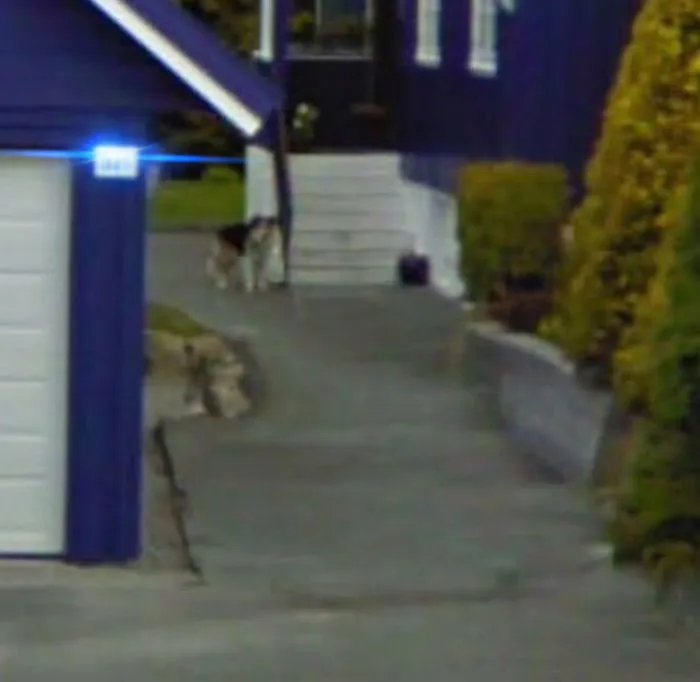 16 People Who Found Their Loved Ones On Google Street View And It Warmed Their Hearts