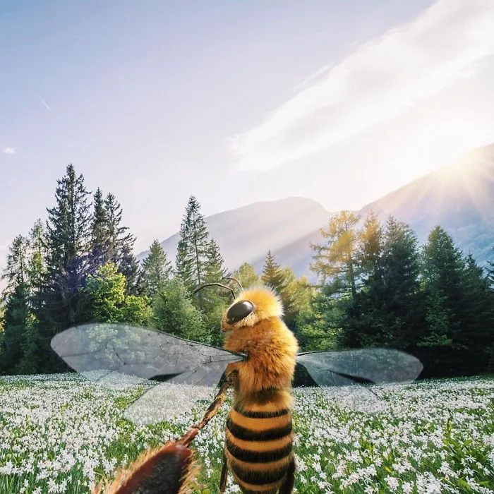 The World's First Bee Influencer Is Trying To Raise Funds To Save Her Species