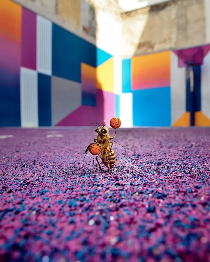 The World's First Bee Influencer Is Trying To Raise Funds To Save Her Species