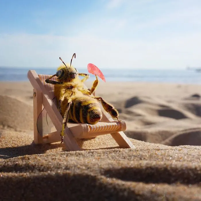 The World's First Bee Influencer Is Trying To Raise Funds To Save Her Species