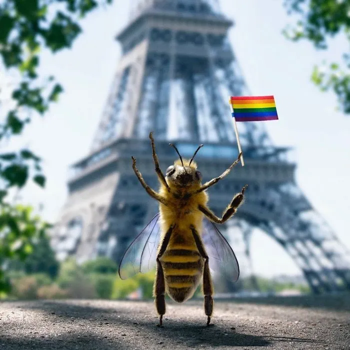 The World's First Bee Influencer Is Trying To Raise Funds To Save Her Species