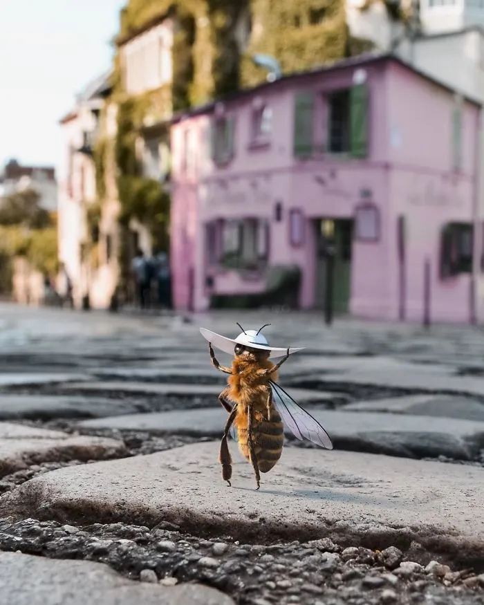 The World's First Bee Influencer Is Trying To Raise Funds To Save Her Species