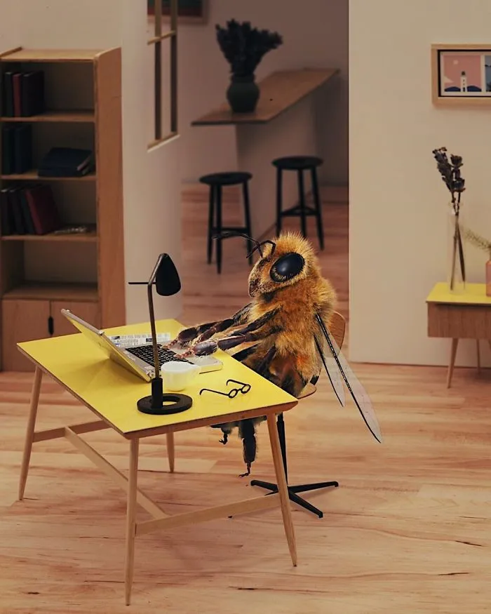 The World's First Bee Influencer Is Trying To Raise Funds To Save Her Species