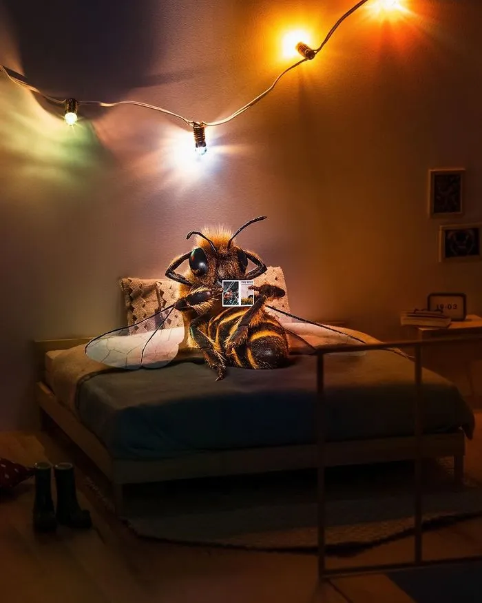 The World's First Bee Influencer Is Trying To Raise Funds To Save Her Species