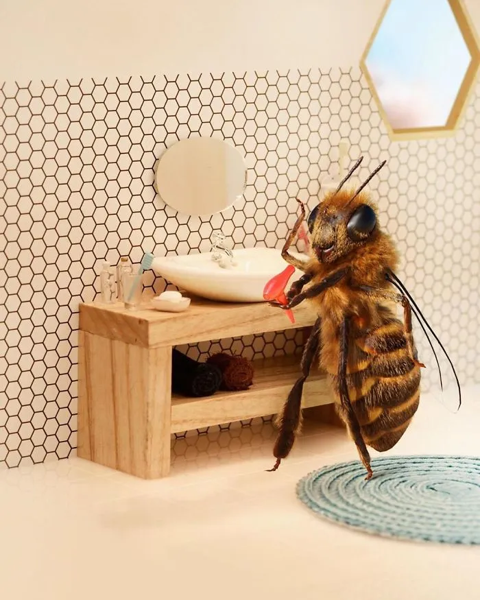 The World's First Bee Influencer Is Trying To Raise Funds To Save Her Species