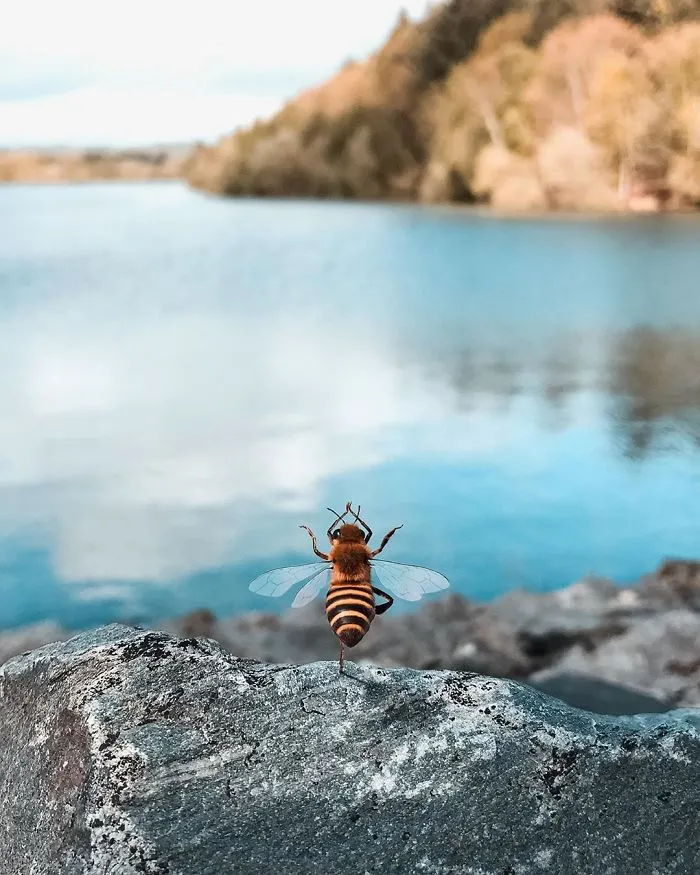 The World's First Bee Influencer Is Trying To Raise Funds To Save Her Species